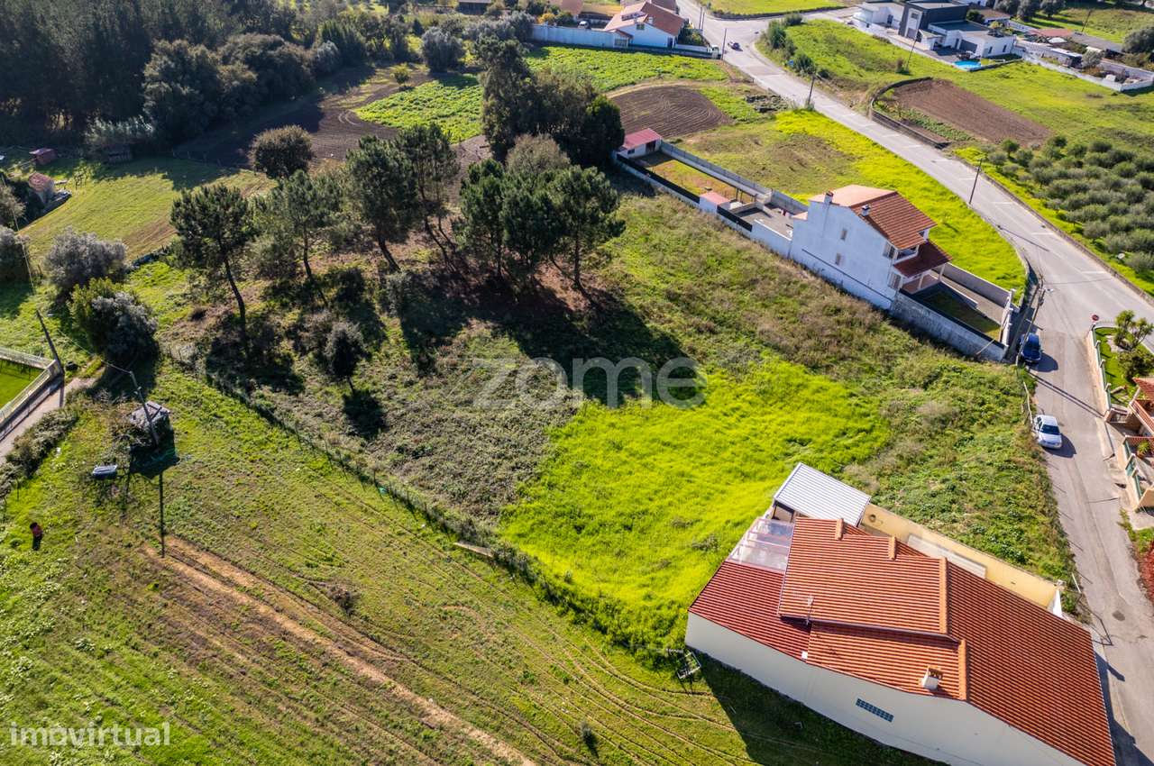 Terreno urbanizável - Regueira de Pontes, Leiria - Grande imagem: 3/22
