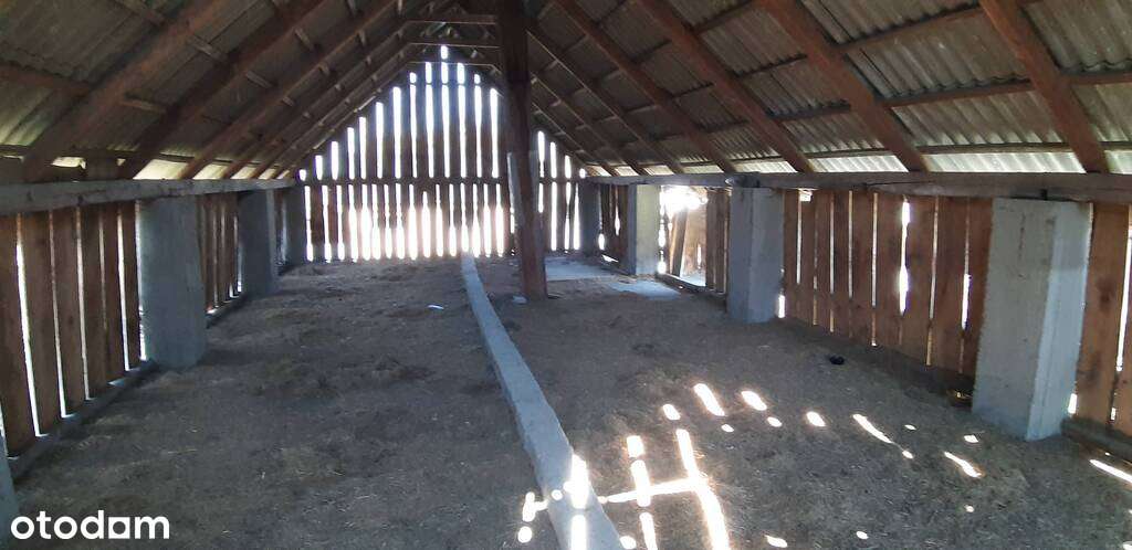 Dom+b. gospodarcze+duża działka-12