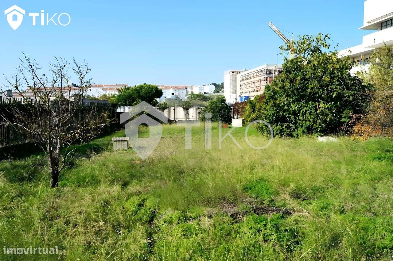 Terreno 2000m² - Ajuda - Grande imagem: 3/21