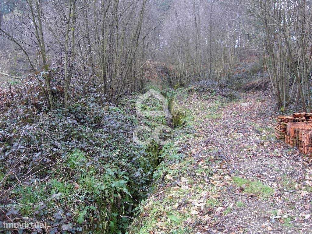 Terreno para moradia - Terreno para Construção - Grande imagem: 4/23