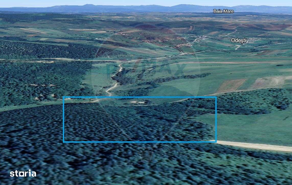 Pădure de vanzare cu zona de cabană Odesti-2