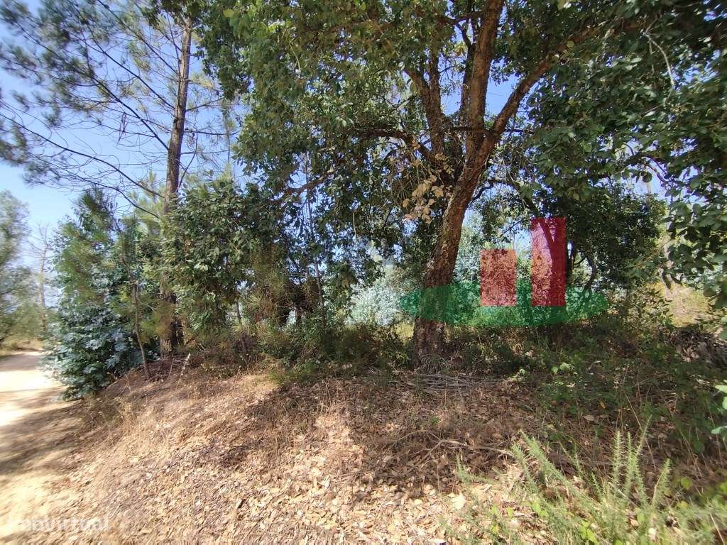 Terreno com 14120m2 Vale Piloto/Rio Maior ***RIOMAGIC*** - Grande imagem: 3/3