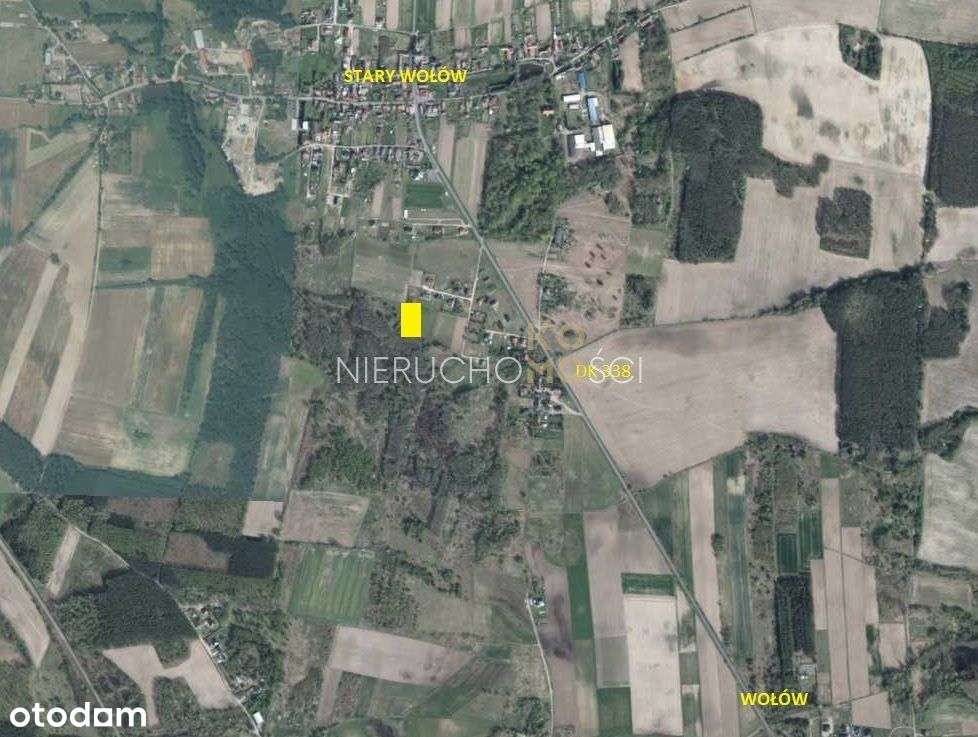 Nie przegap / Przy lesie / Budowlana z Mpzp / 16ar - Pełny obrazek: 5/20