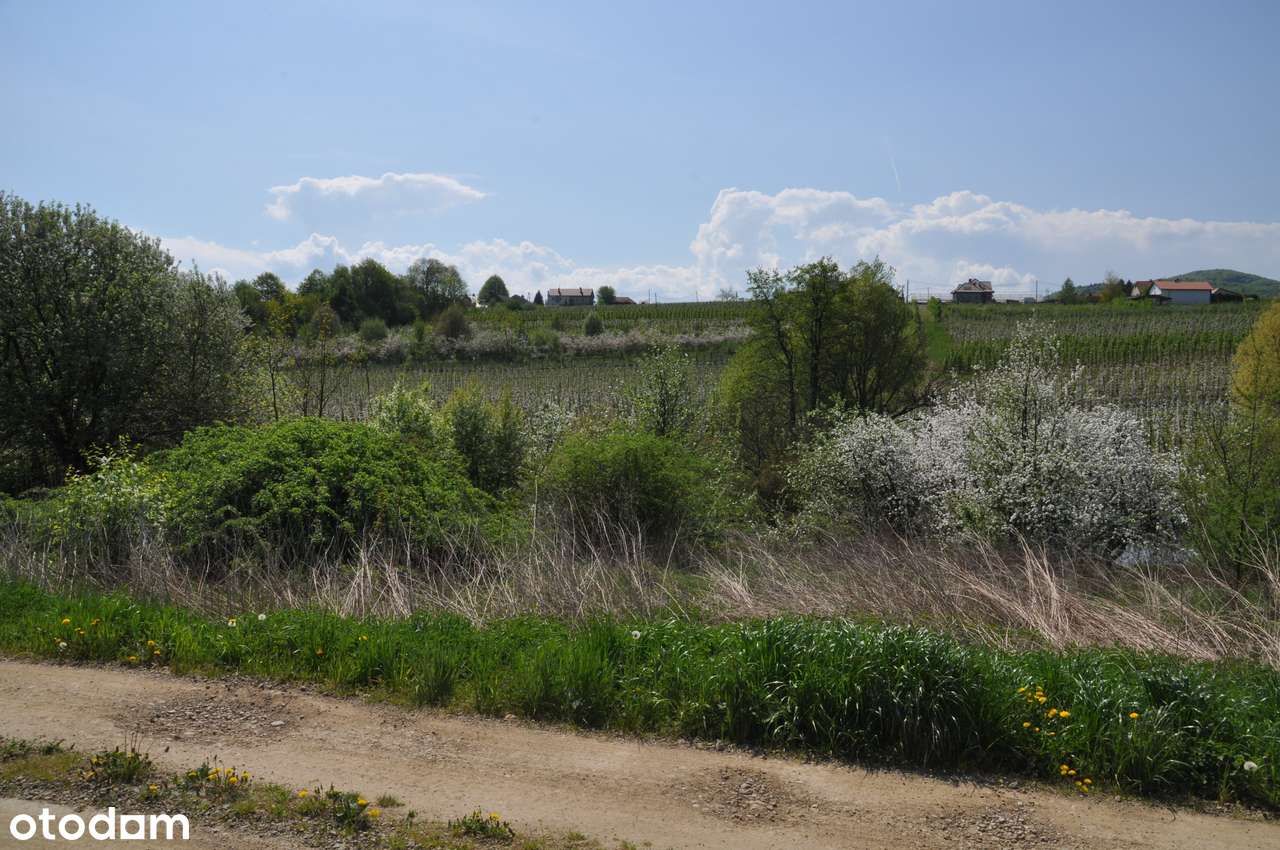 Komorniki - działka pod zabudowę-8