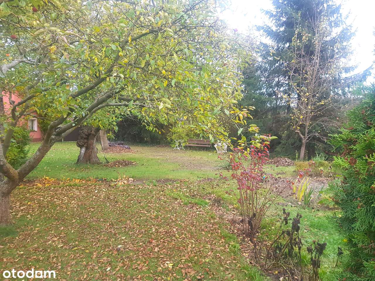 Dom w Trzcielu, duży budynek gospodarczy, ogród - Pełny obrazek: 4/16