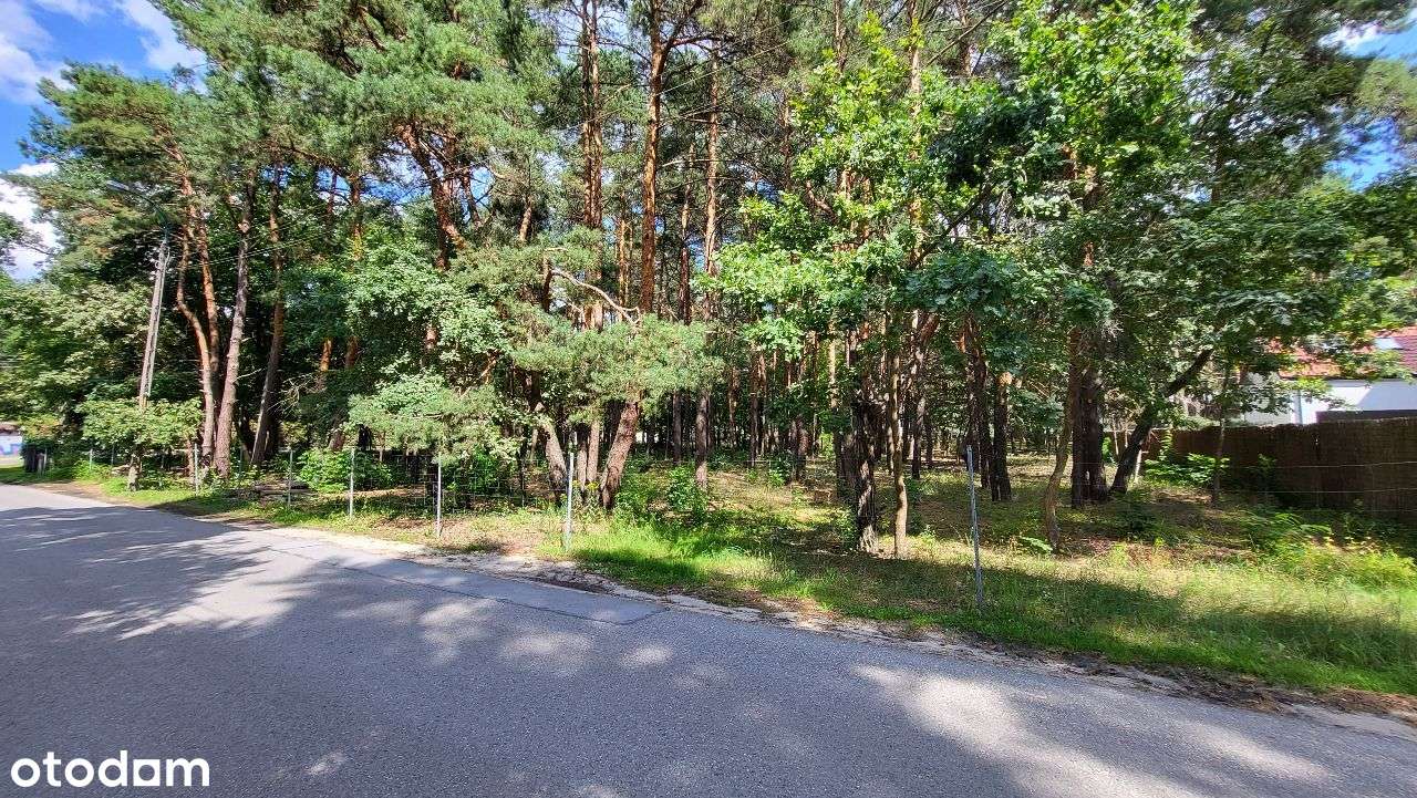 KONSTANCIN  3316 m2, ul. Leśna NOWA NIŻSZA CENA - Pełny obrazek: 4/8