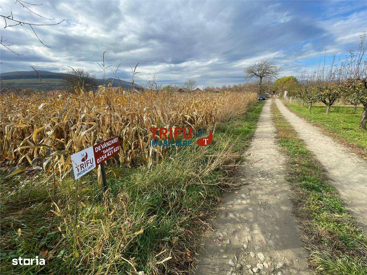 Teren intravilan de vânzare în Șard - Imagine principală: 4/4