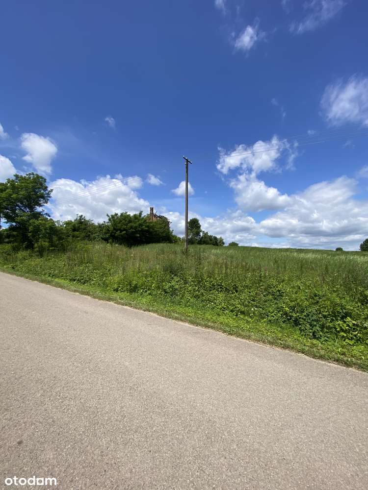 Działka budowlano inwestycyjna położona w miejscowości Blinów II - Pełny obrazek: 4/9