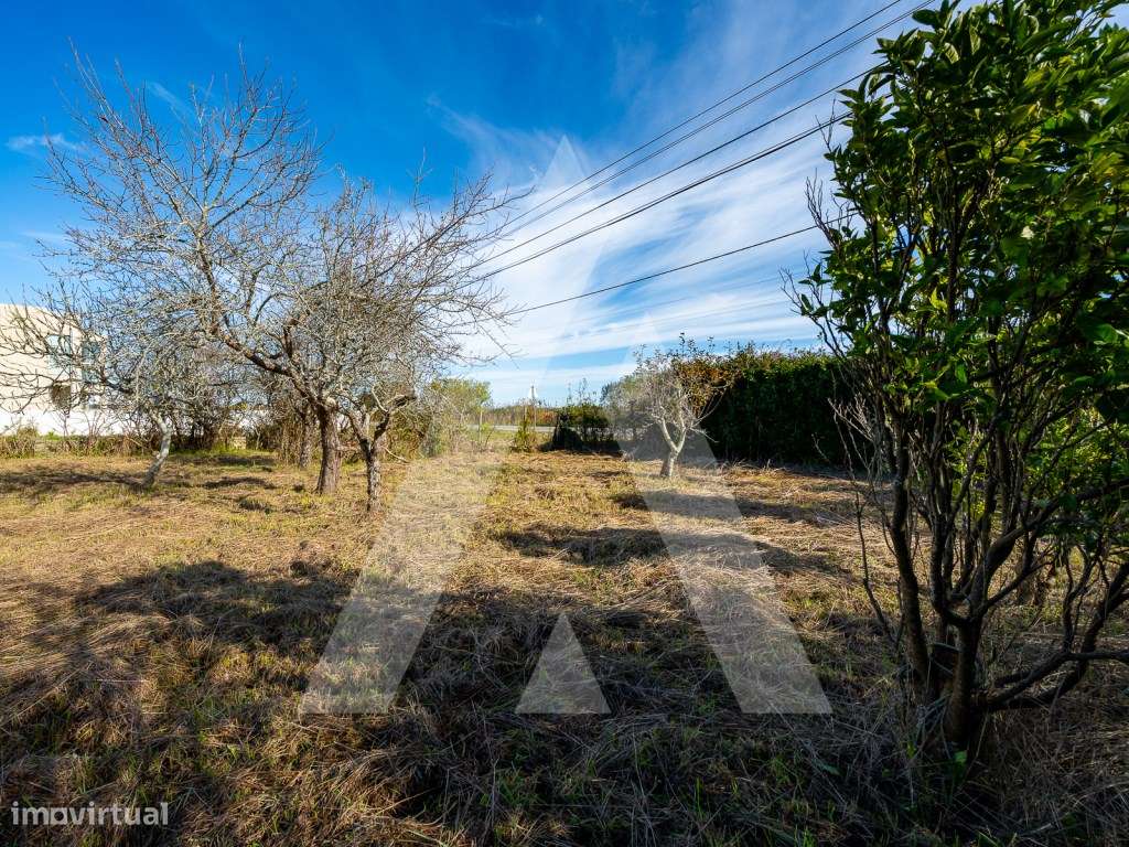 Moradia Térrea Isolada - Torrão Lameiro, Ovar-8