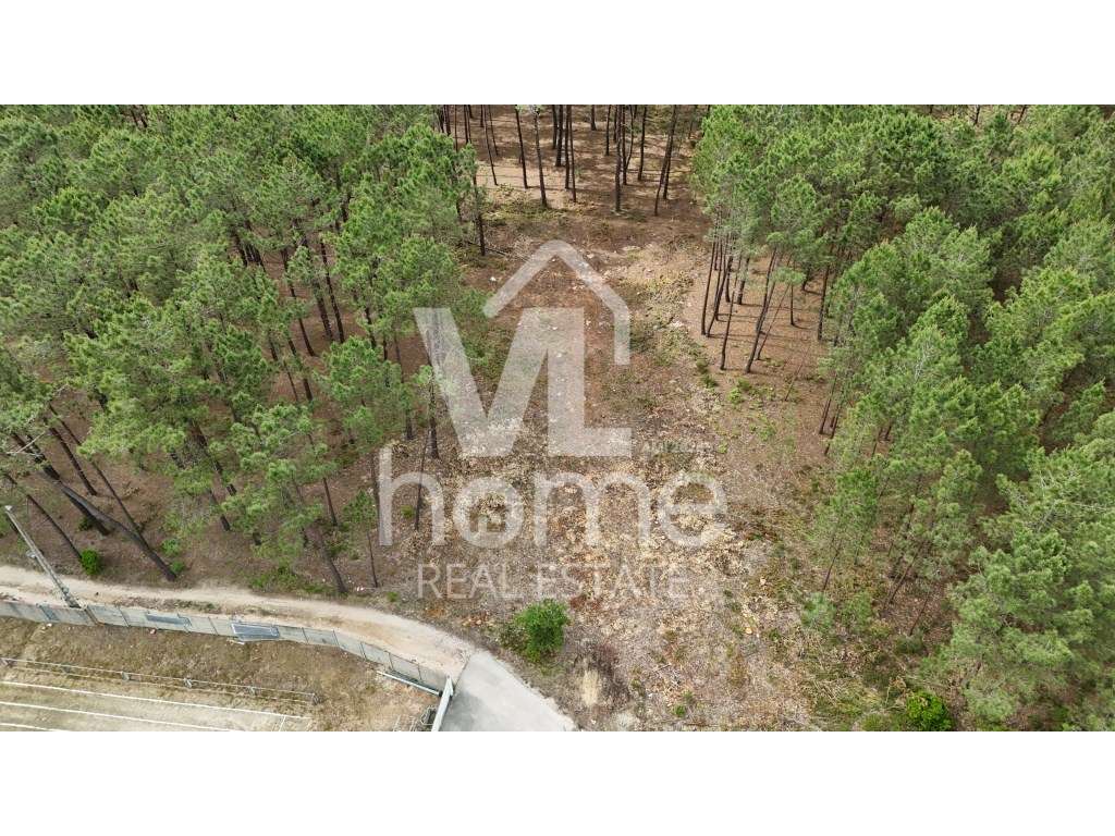 Terreno com Potencial para Moradias - Natureza e Conveniência de Mã...-13