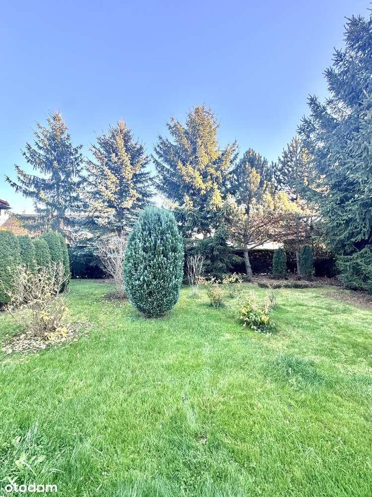 Wojcieszyce-parterowy dom wolnostojący na dużej działce, fotowoltaika-8