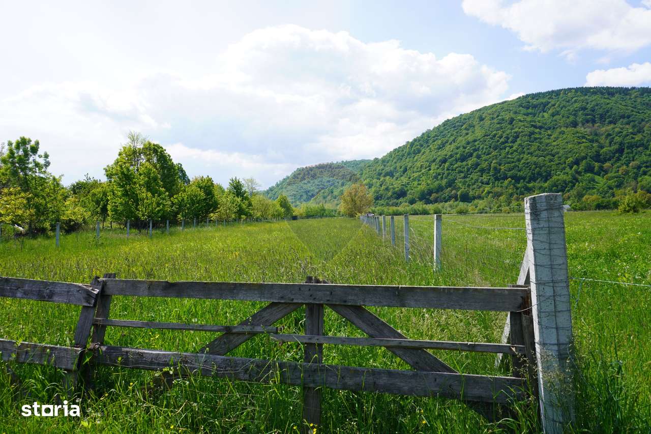 Teren 2,486mp Sighetu Marmatiei / Strada Constantin Dobrogeanu-Gherea - Imagine principală: 4/5