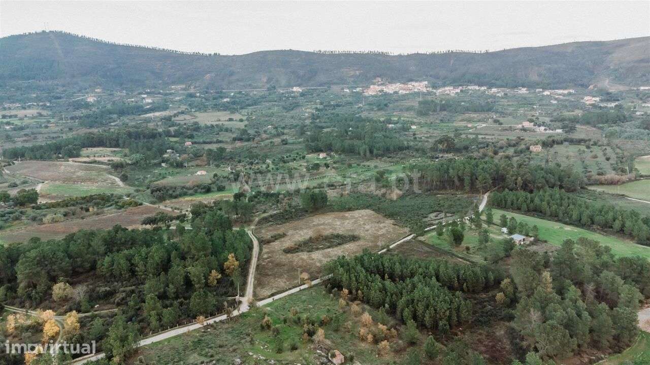 Terreno / Fundão, Vale de Prazeres e Mata da Rainha - Grande imagem: 3/6