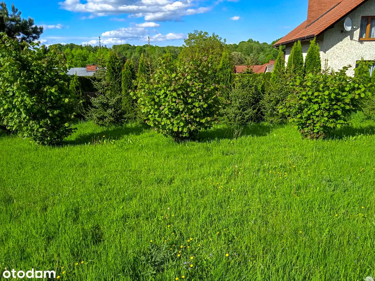 Działka rekreacyjna z drewnianym domkiem - Kończyce Wielkie-9