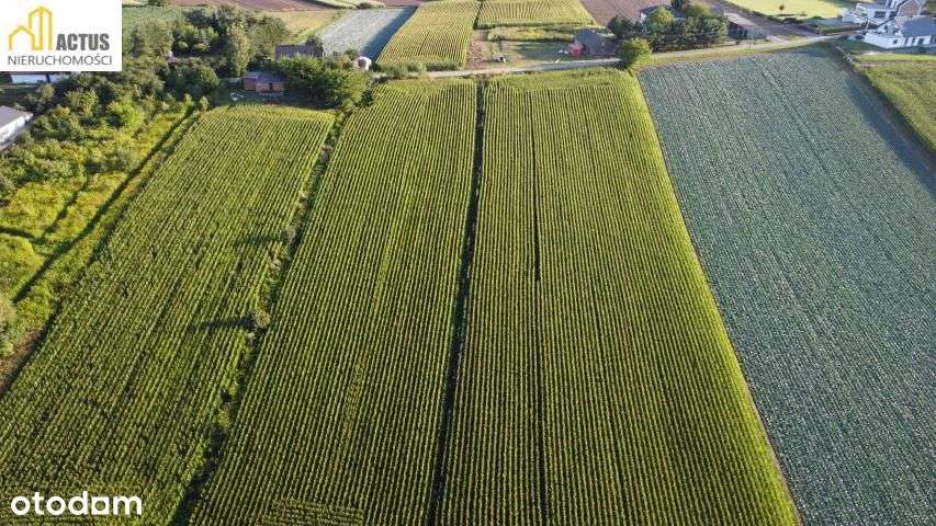 Działka 47 ar Stręgoborzyce-3