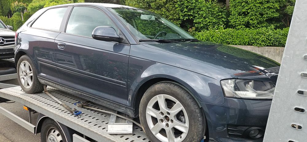 Audi A3 8P 1.6 TDI DPF Ambition 2010