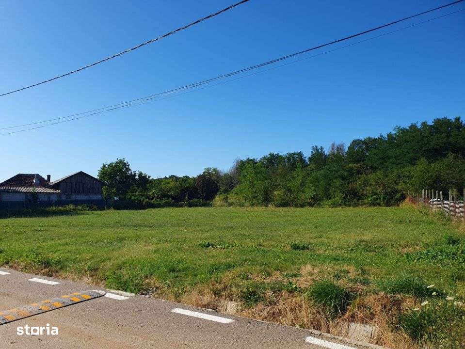 Teren Glamboc Deal, intravilan, asfalt, toate utilitatile - Imagine principală: 2/3