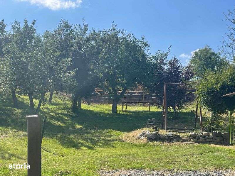 Proprietate de vanzare in sat Badeni comuna Moldovenesti - Imagine principală: 5/5
