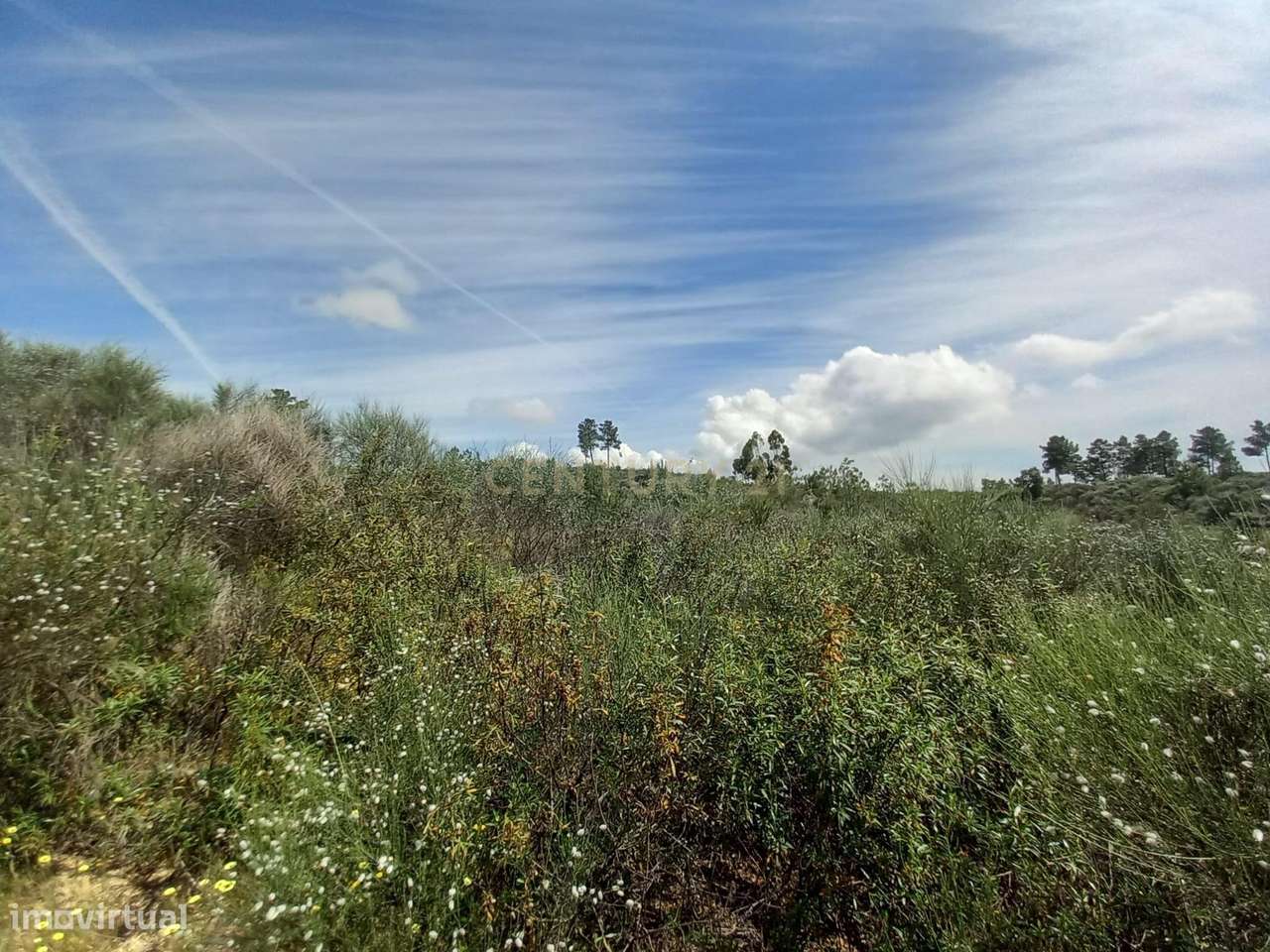 Terreno Rustico com 13300m2 Palvarinho-Salgueiro do Campo - Grande imagem: 3/10