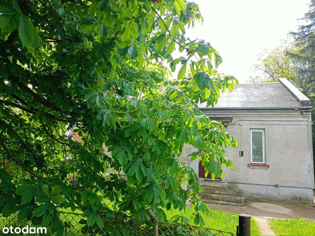 Dom w Kozłowie Biskupim ( 5m od Sochaczewa) - Pełny obrazek: 4/12