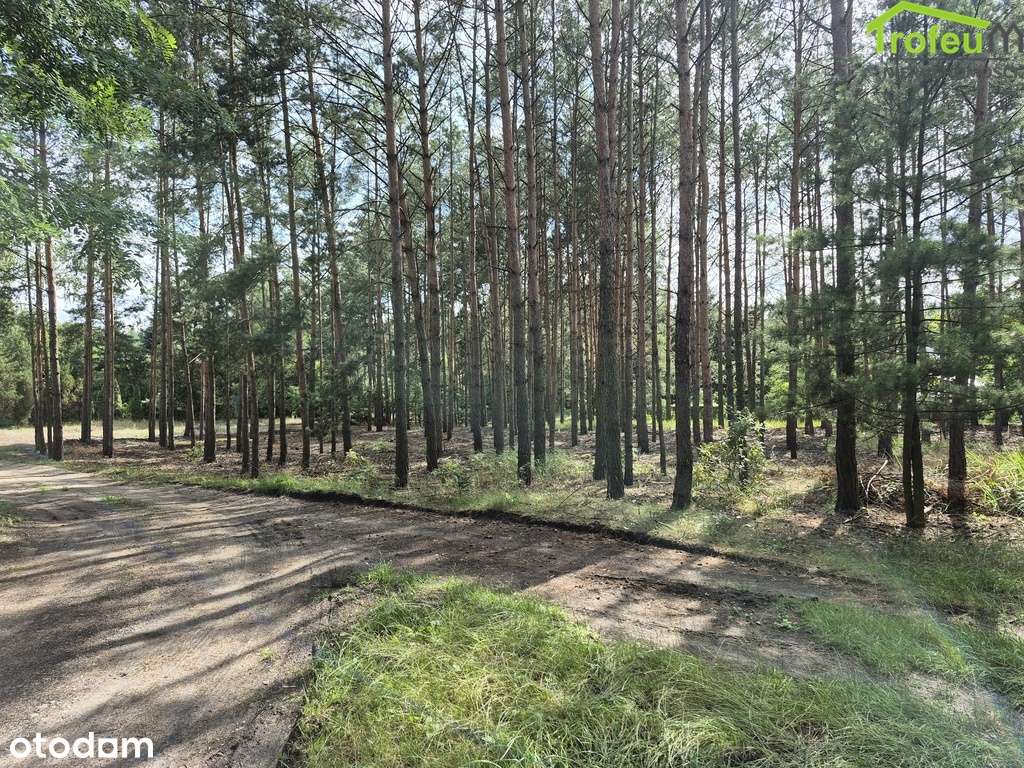 Działka 2400 m2, Mały Rudnik, Warunki Zabudowy!!!-5