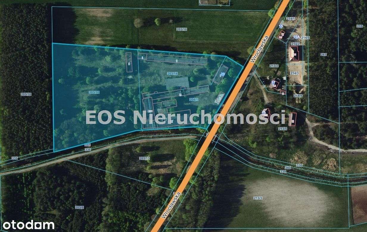 Teran inwestycyjny 2,5 ha, blisko węzłą S8 - Pełny obrazek: 5/5