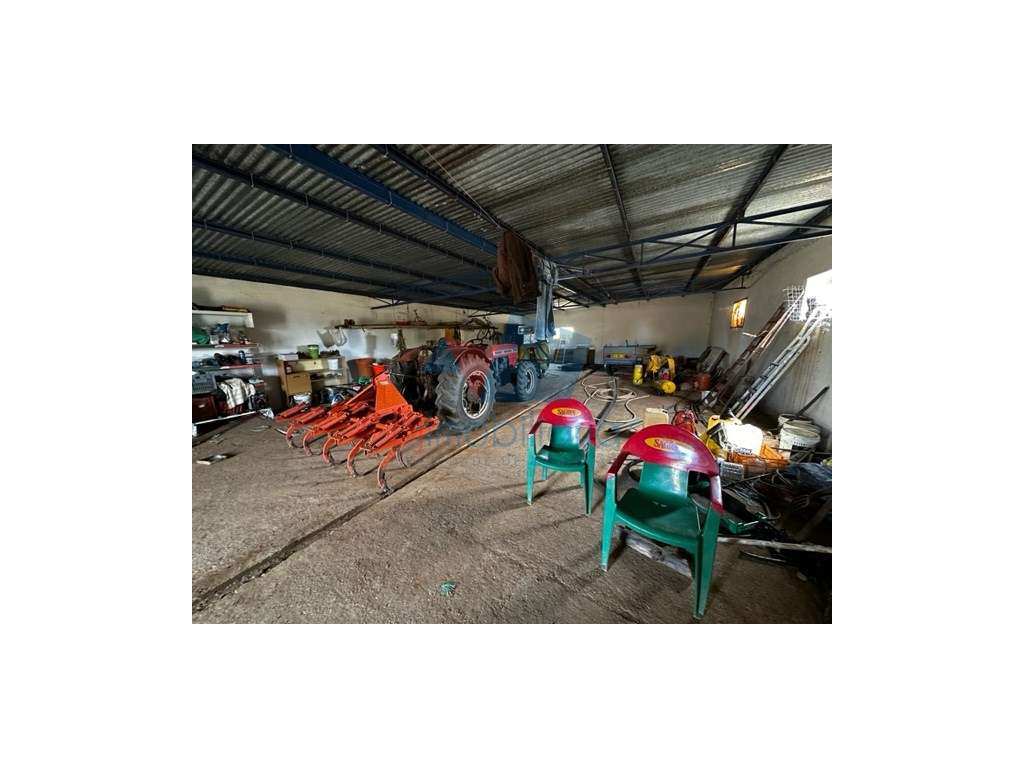 Monte para reabilitar-3