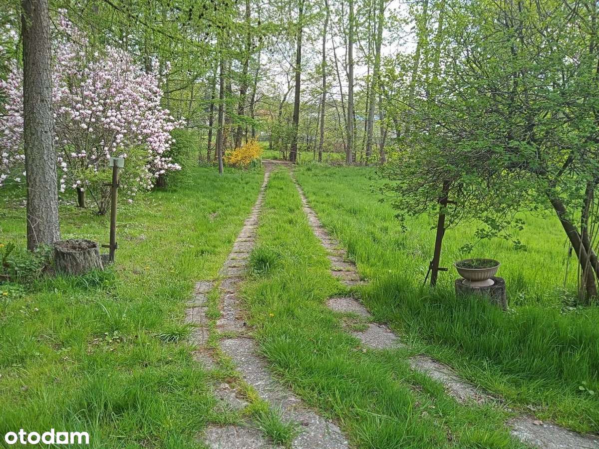 Magiczne siedlisko z lasem, rzeczką i historią-7