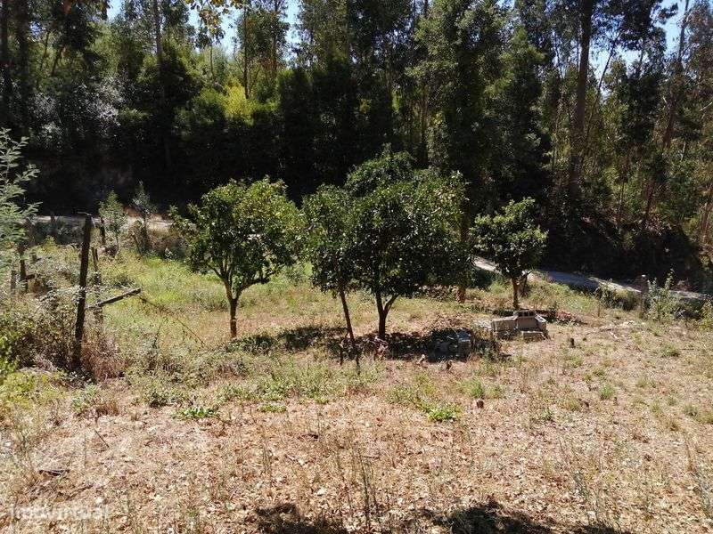 Terreno em santa marinha do zezere - Grande imagem: 4/9