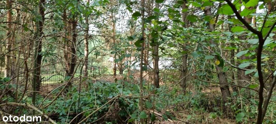 Piękna Zielona Działka Z Dobrym Dojazdem-3