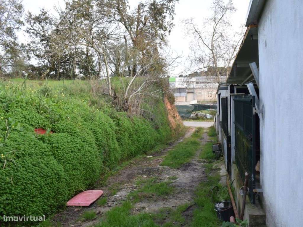 Quinta entre Antanhol e Cernache-8