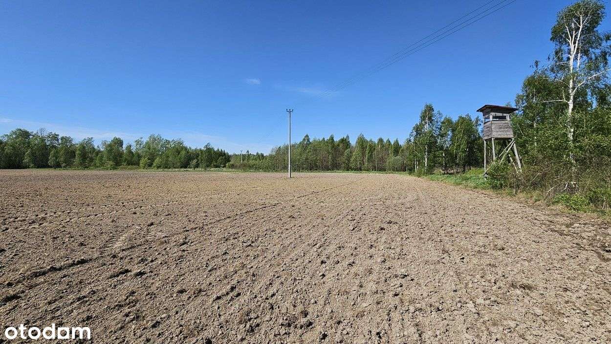 Działka rolna Wierzno Wielkie, gmina Frombork - Pełny obrazek: 4/17