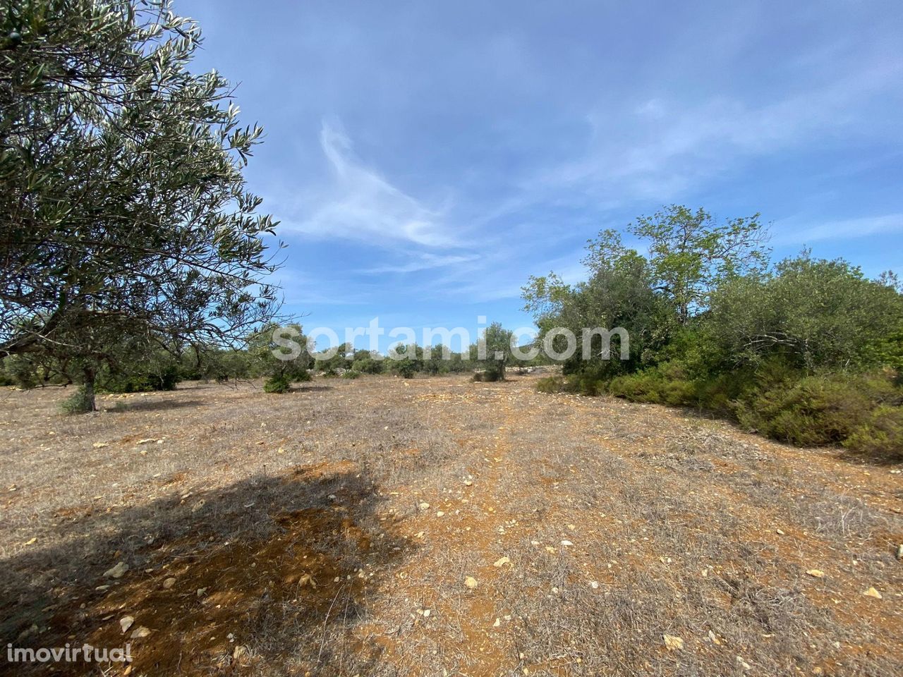 Terreno Para Construção  Venda em São Brás de Alportel,São Brás de Alp