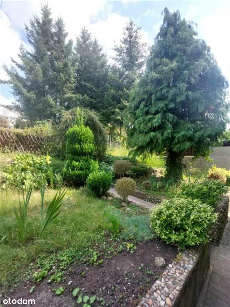 Wolnostojący dom w centrum miasta!-18