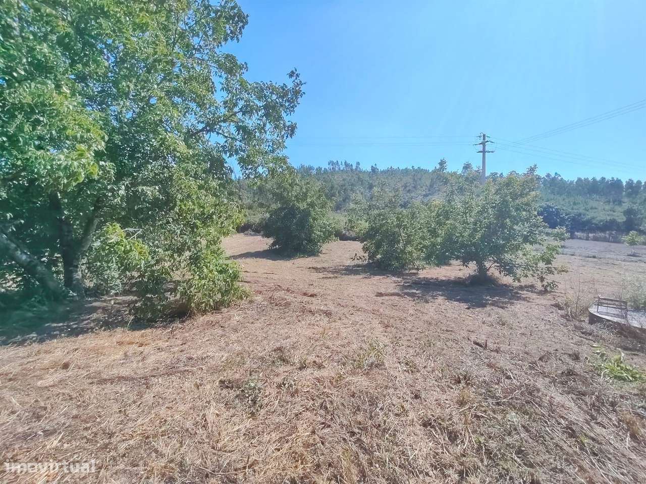Moradia / Terreno / Poço / Colmeias / Leiria-6