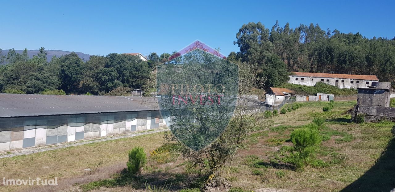 Quinta  Venda em São João da Serra,Oliveira de Frades