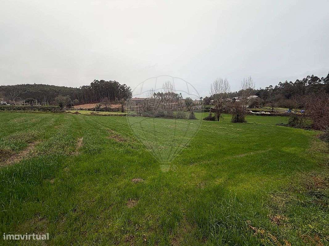 Terreno  para venda - Grande imagem: 5/8