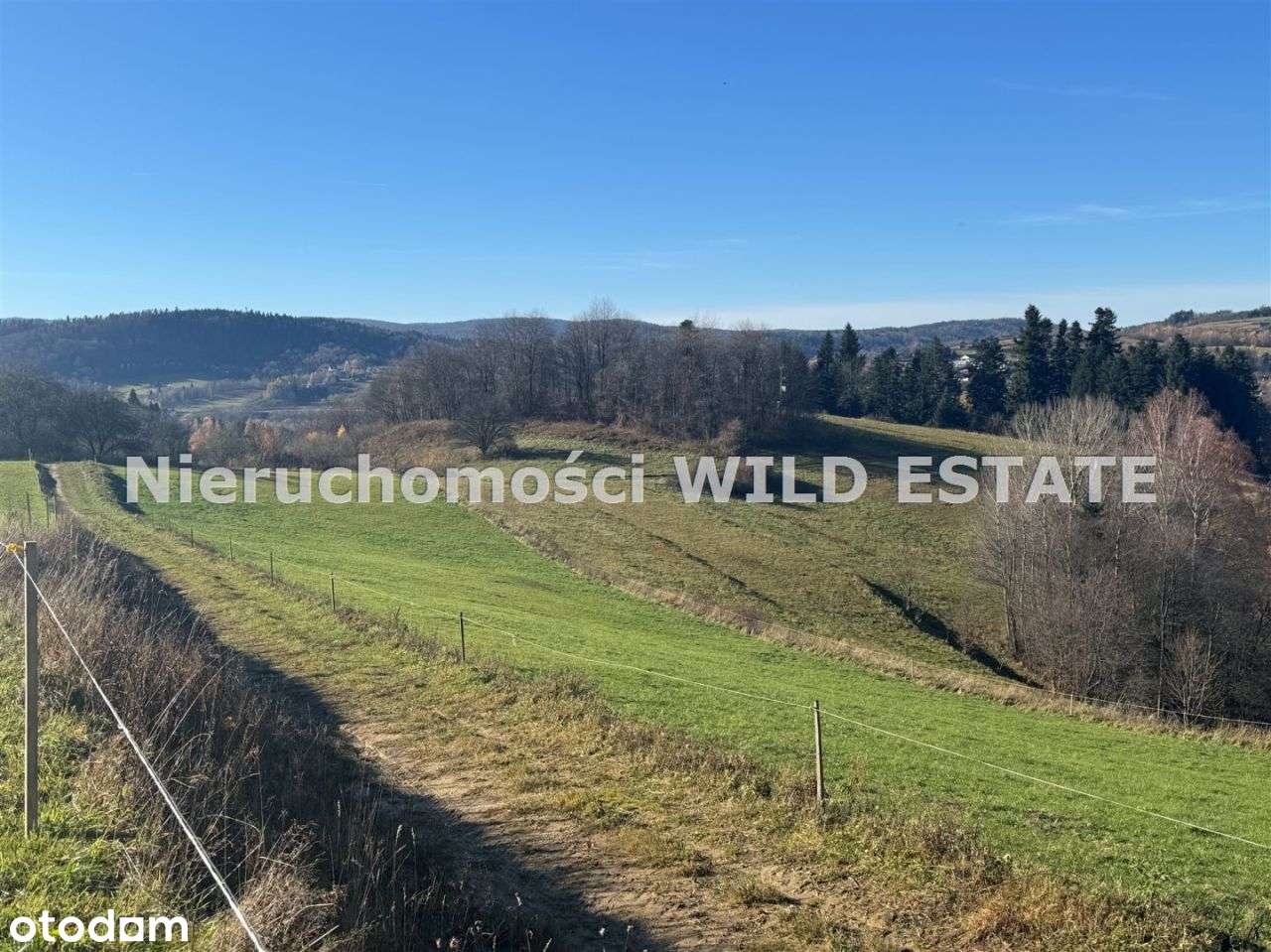 Działka, 4 969 m², Zawóz - Pełny obrazek: 5/7