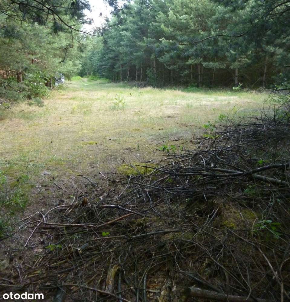 Działki budowlane w uroczej, leśnej okolicy! - Pełny obrazek: 4/4