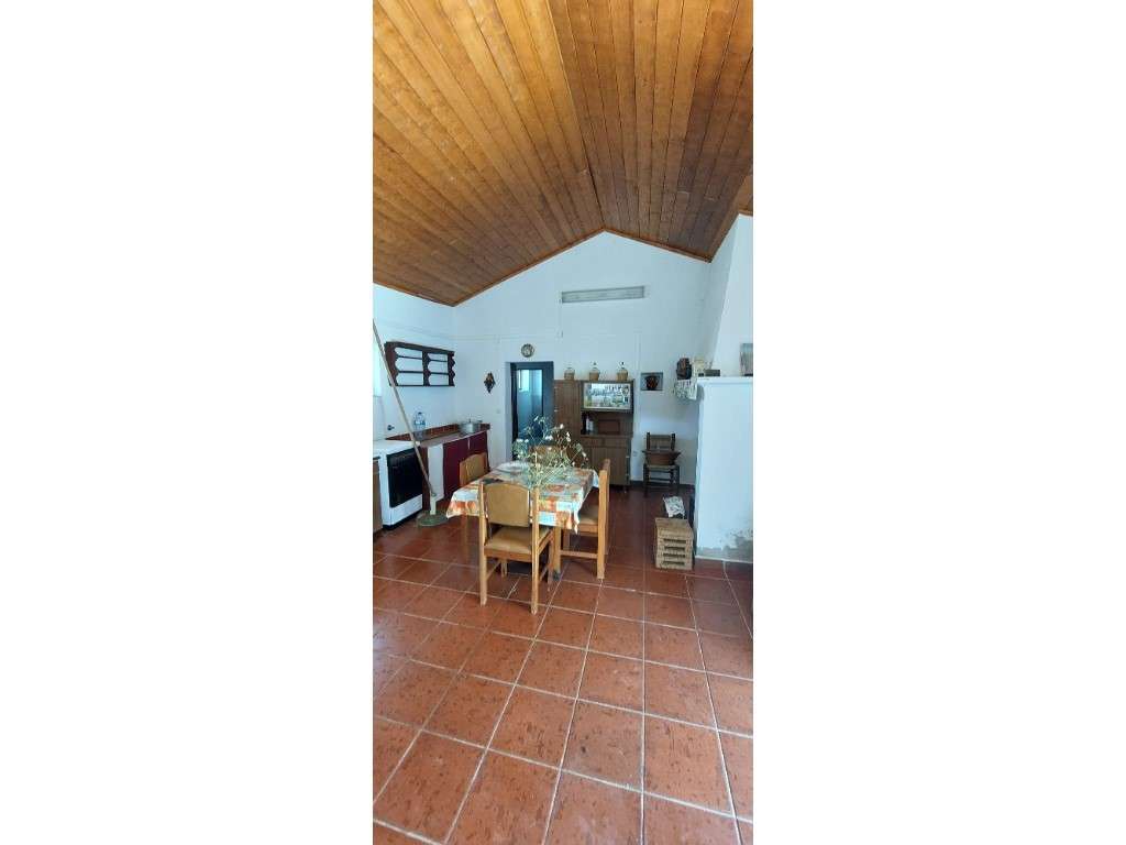 HERDADE 92 ha l Colos-7