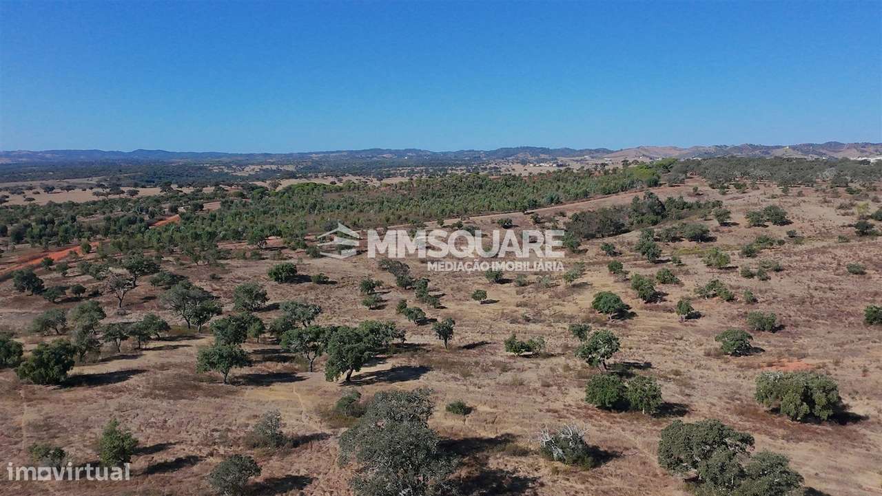 Herdade  Venda em Garvão e Santa Luzia,Ourique-23