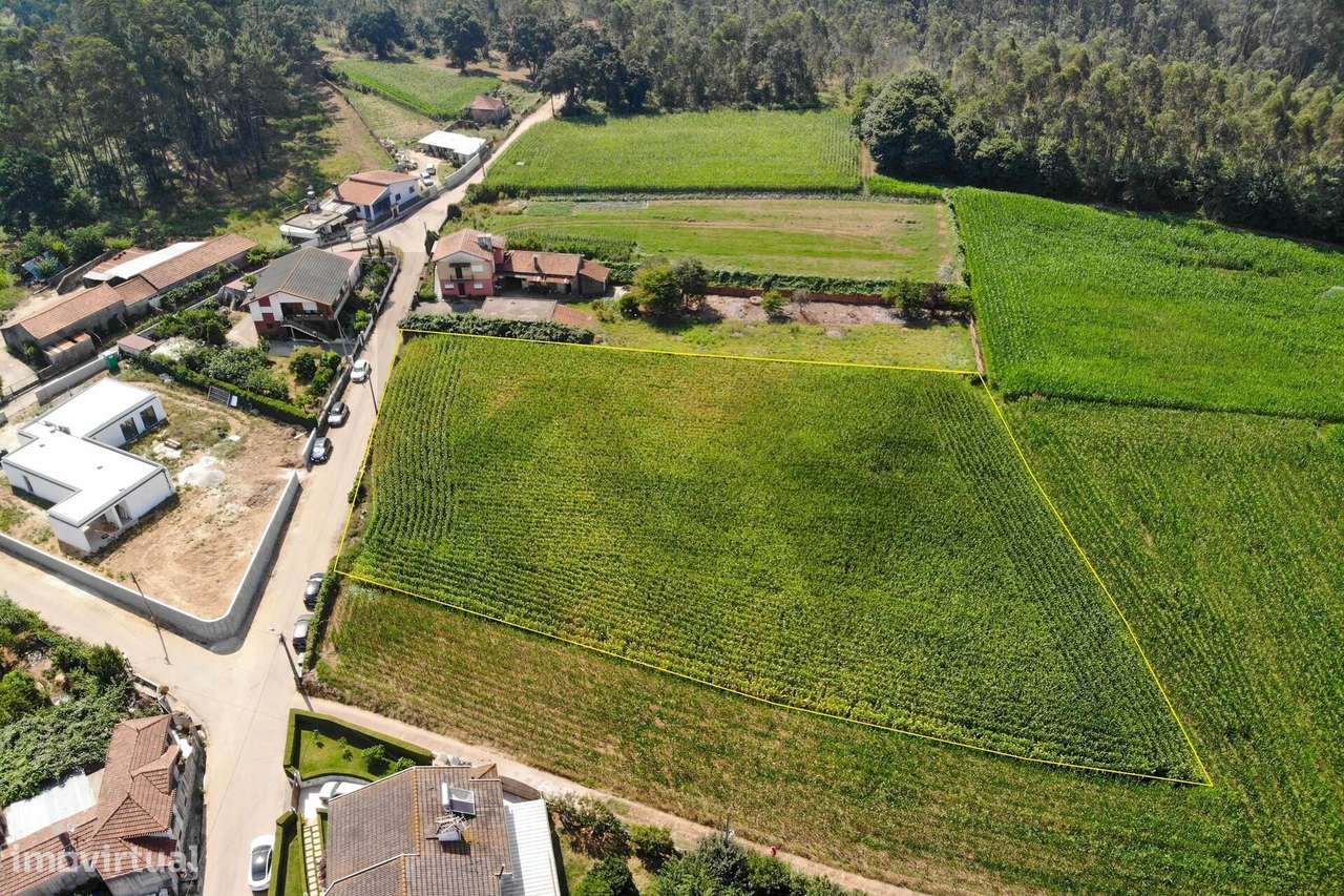 Terreno Estratégico Próximo da A1 e A29-16