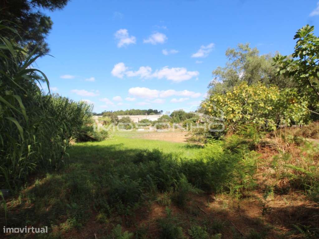 Terreno para construção de habitação - Grande imagem: 2/8