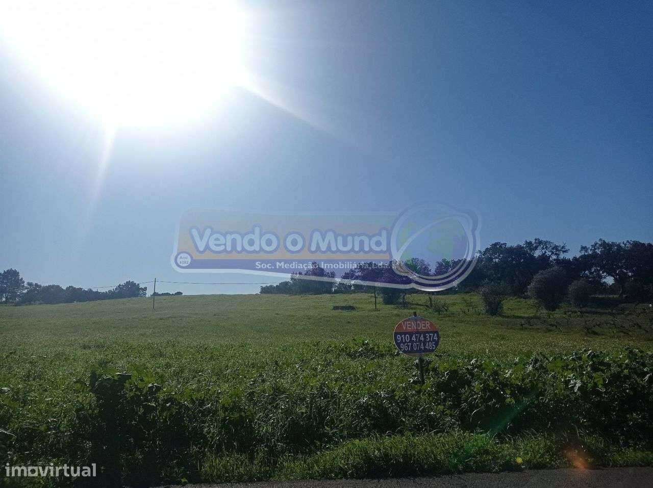 Terreno Agrícola em Foros de Salvaterra (F719) - Grande imagem: 2/16