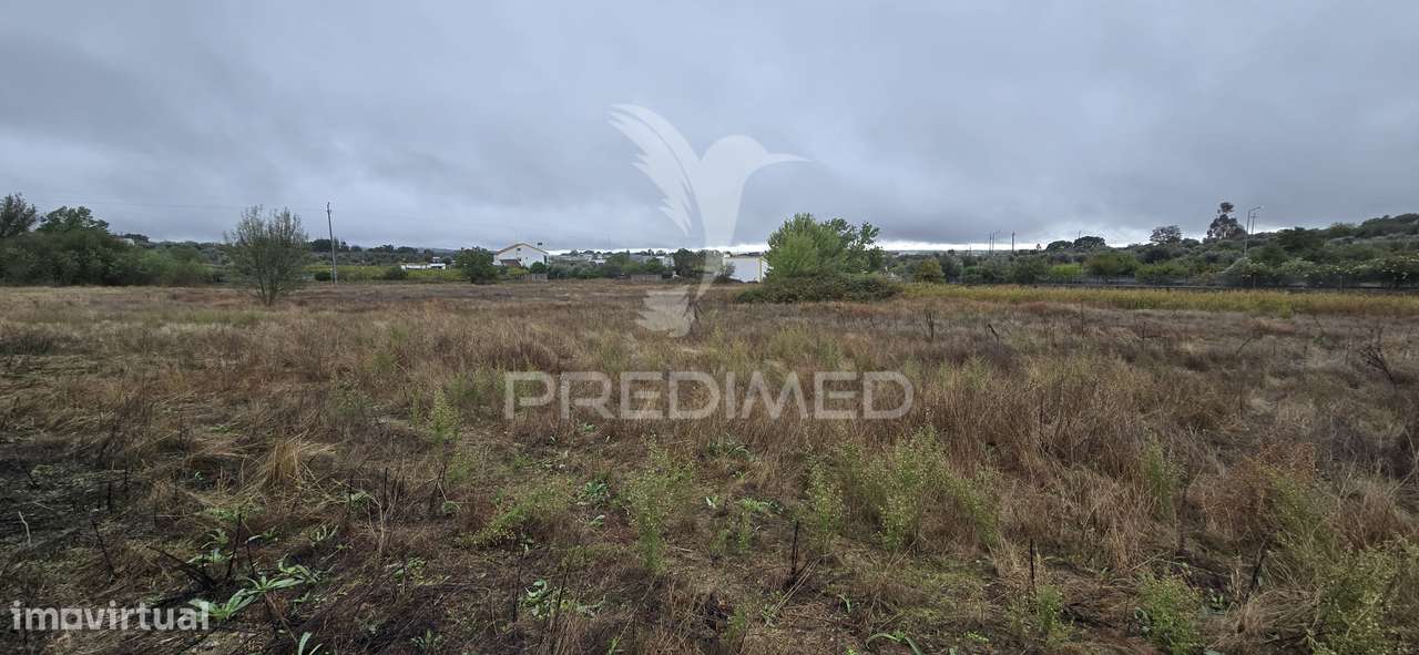 Terreno Rústico em Portalegre - Grande imagem: 3/6