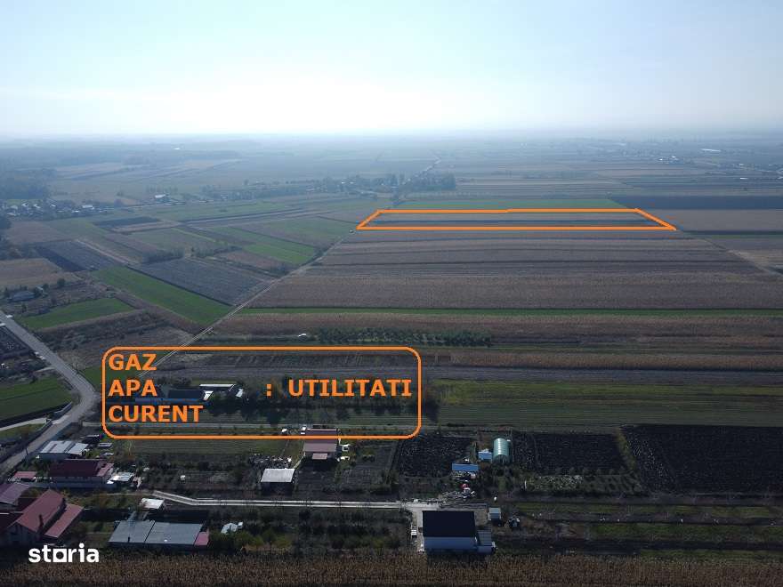 Teren Secuienii Noi /Basta 27900 mp Utilitati 92 ml Deschidere-9