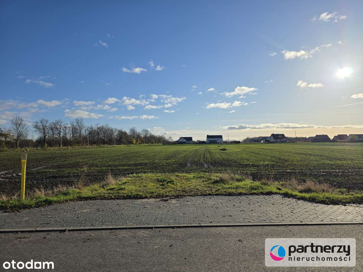 Ustawna działka 15 min. autem od centrum Gdańska! - Pełny obrazek: 5/7