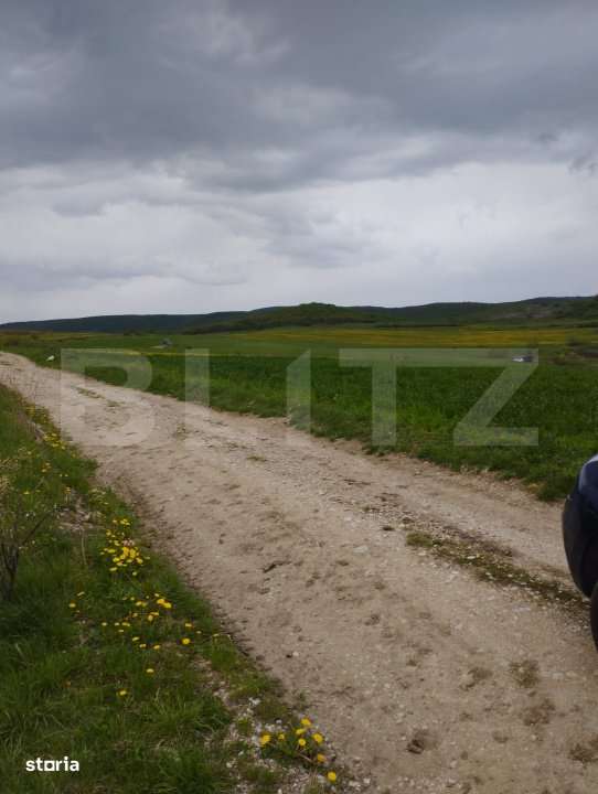 Teren extravilan 3621 mp, in Petrestii de Mijloc - Imagine principală: 4/5