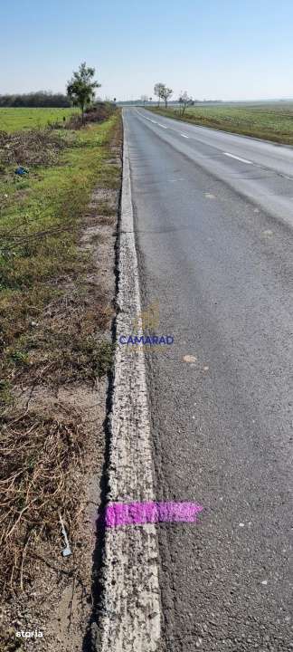 Teren de vanzare- deschidere DN4 138 m  –  Budesti, sat Gruiu - Cala - Imagine principală: 4/7