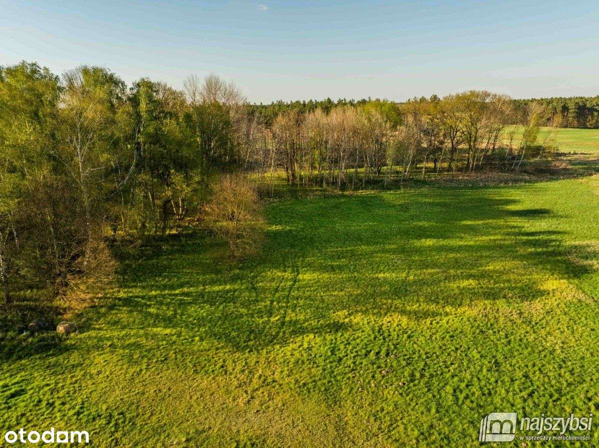 Grzepnica - Działka z wydanymi Wz z potencjałem - Pełny obrazek: 5/20